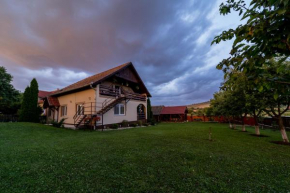 Hotels in Comuna Lupeni